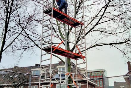 LED-lampen monteren in lichtmast